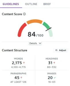 Surfer SEO Content score